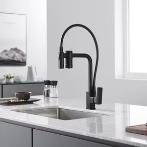Torneira para Cozinha Guindaste com Filtro