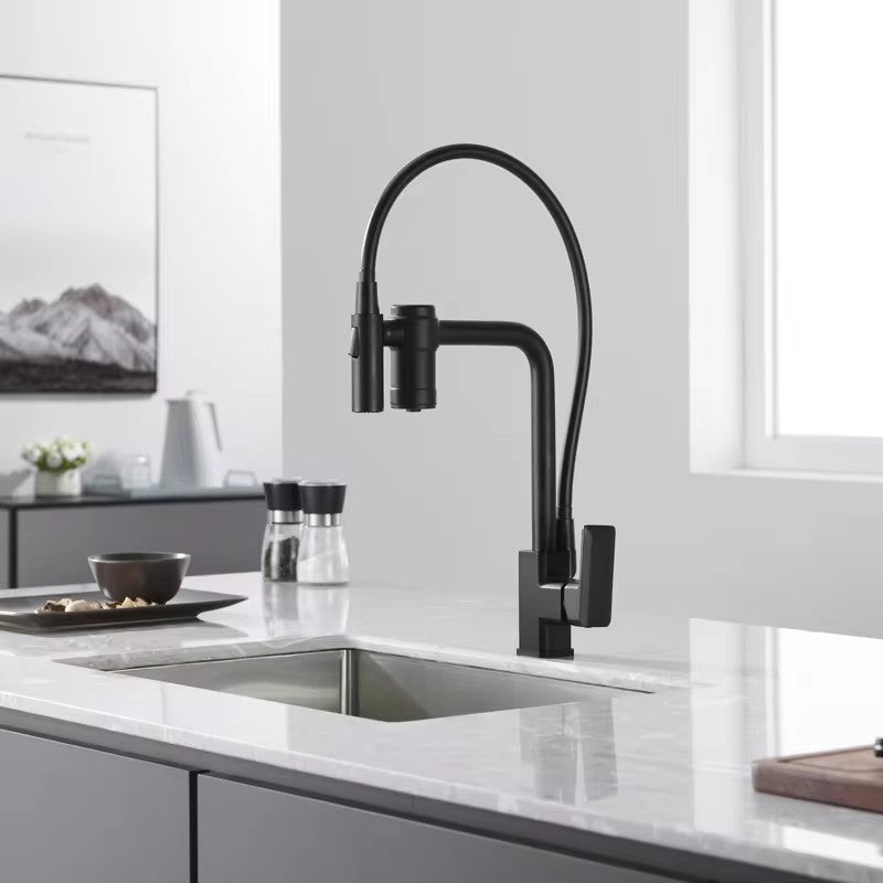 Torneira para Cozinha Guindaste com Filtro